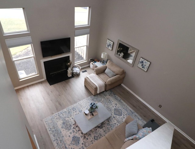 living room featuring hardwood / wood-style flooring, a wealth of natural light, and a towering ceiling