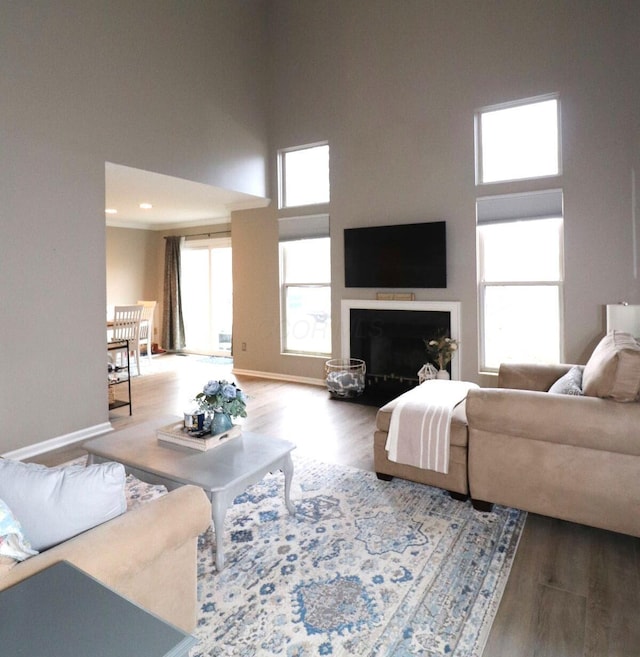 living room with a towering ceiling, a wealth of natural light, and wood-type flooring