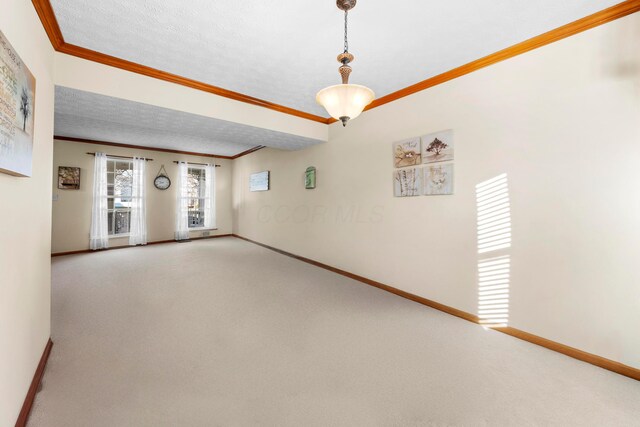 unfurnished room featuring ornamental molding, carpet, and a textured ceiling