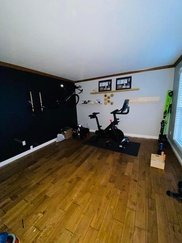 workout room with ornamental molding and hardwood / wood-style floors