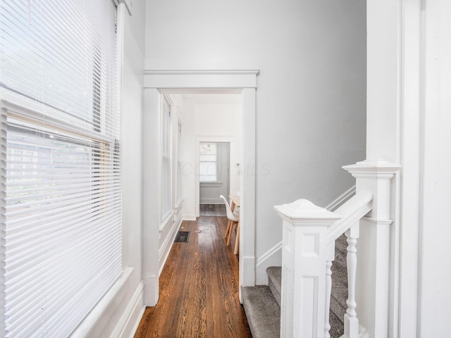 corridor featuring dark hardwood / wood-style flooring