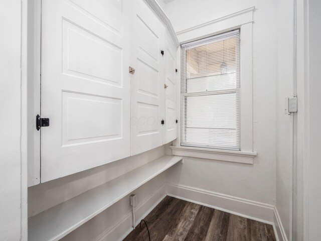 interior space with dark hardwood / wood-style floors