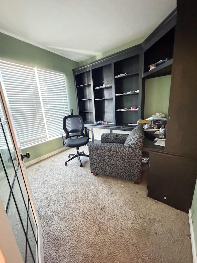 office area featuring carpet floors