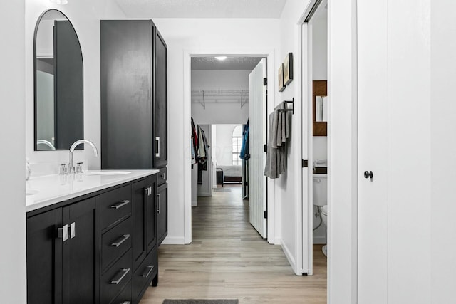 bathroom with wood-type flooring, vanity, and toilet