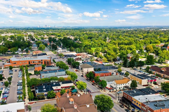 drone / aerial view