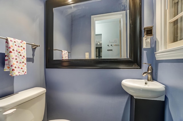 bathroom featuring sink and toilet