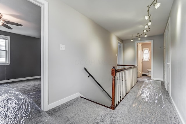 stairs with track lighting, ceiling fan, and carpet flooring