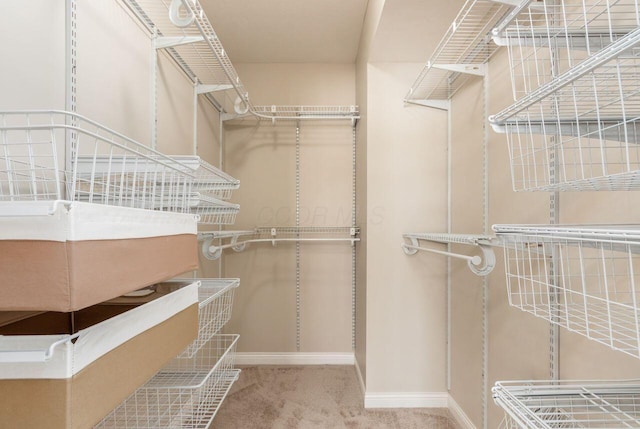 spacious closet with carpet flooring