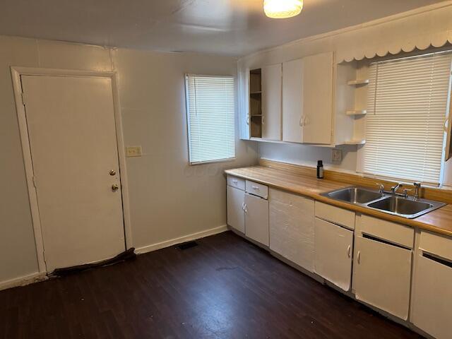 kitchen featuring dark hardwood / wood-style flooring, sink, and white cabinets