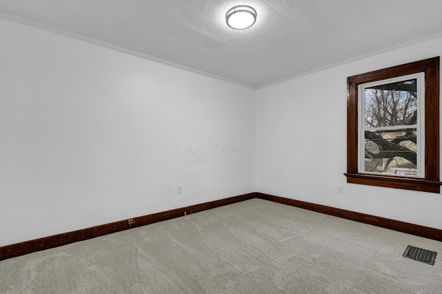 carpeted empty room featuring ornamental molding and a textured ceiling