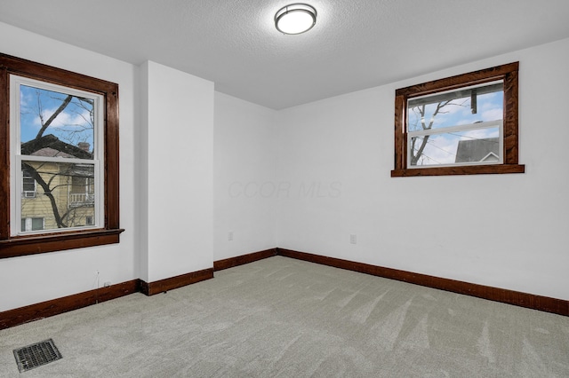 empty room featuring light colored carpet and a textured ceiling