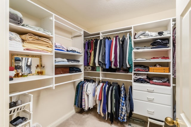 walk in closet with carpet flooring