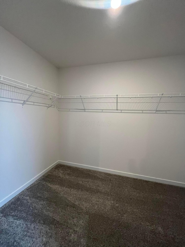 walk in closet with carpet