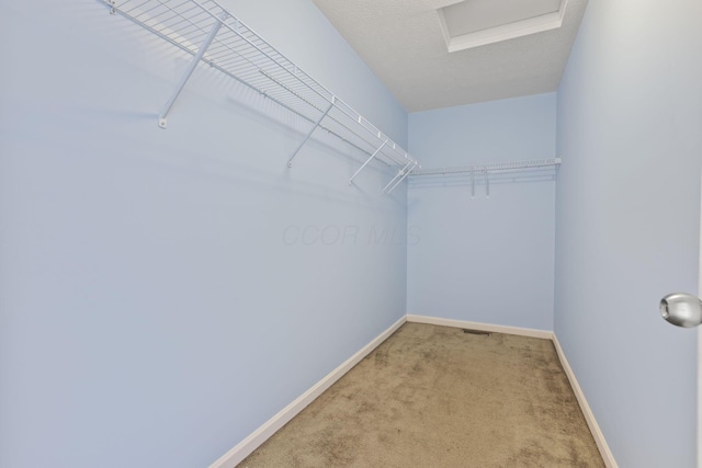 walk in closet featuring light carpet