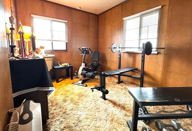 workout room featuring carpet floors