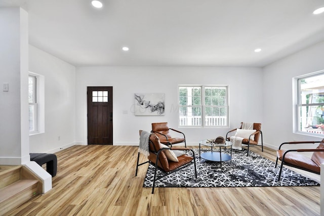 living room with light hardwood / wood-style flooring