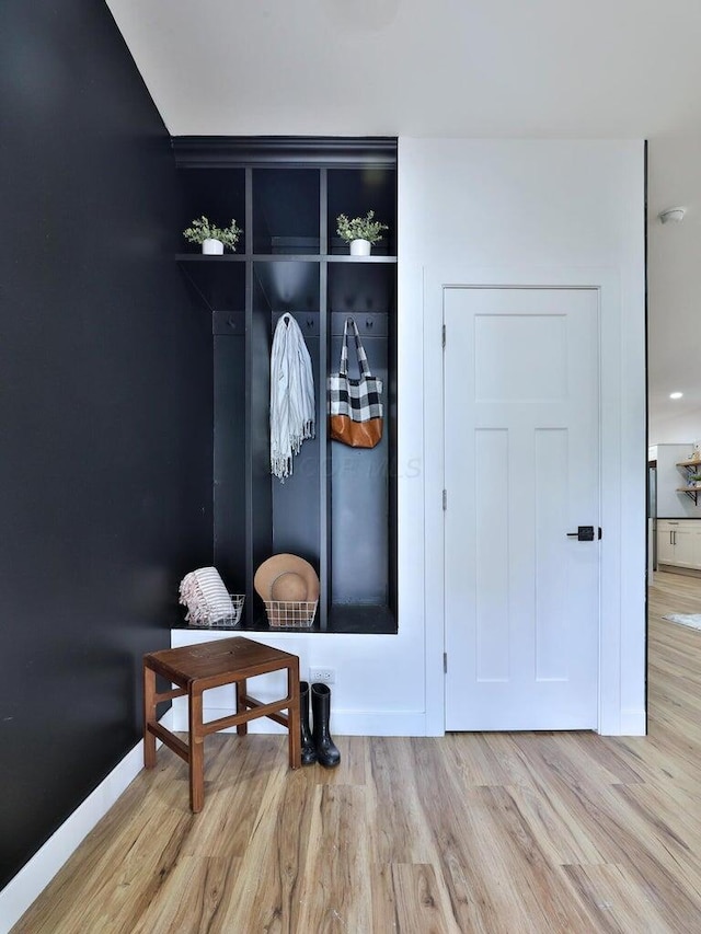 mudroom featuring light wood-type flooring