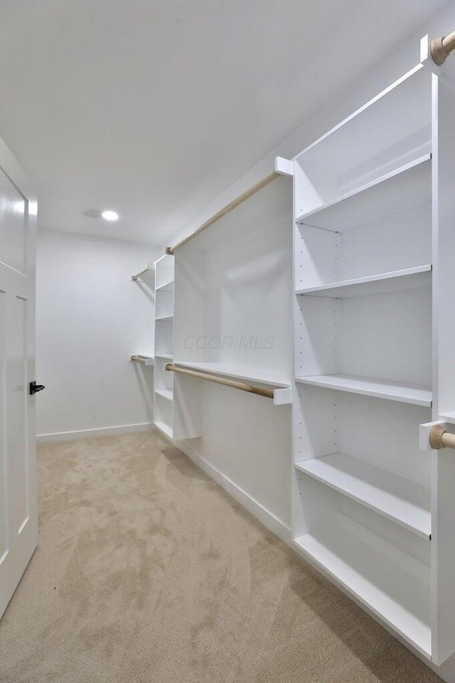 walk in closet featuring carpet