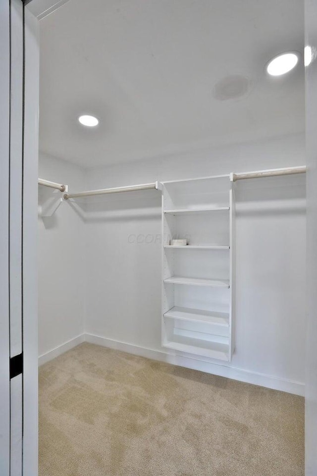 spacious closet featuring light colored carpet