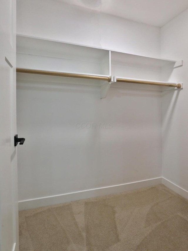 spacious closet with carpet flooring