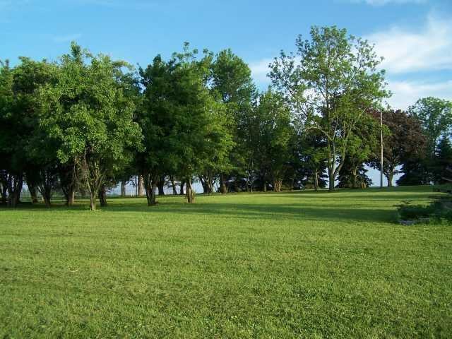 surrounding community featuring a yard