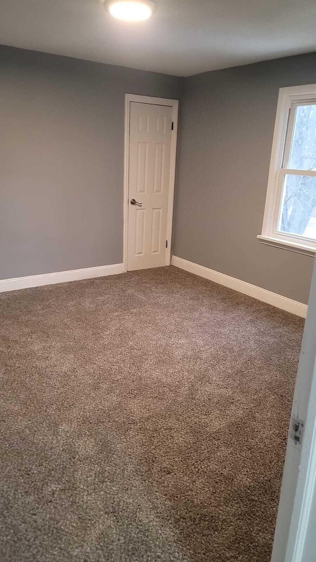 empty room featuring carpet floors