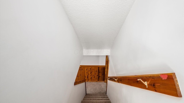 stairs with wood walls, a textured ceiling, and carpet