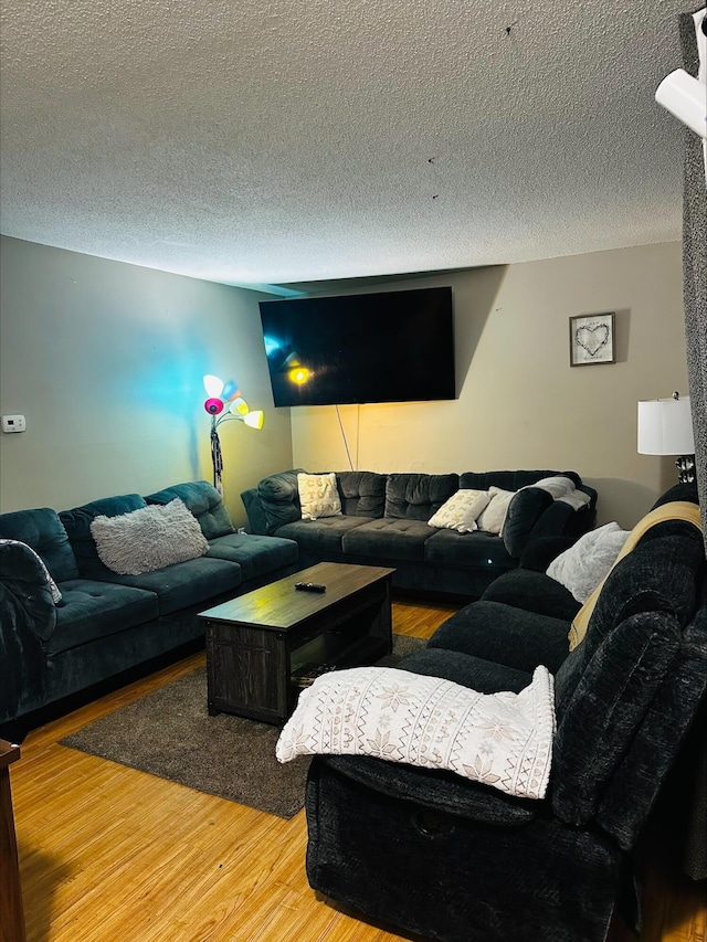 living room featuring wood-type flooring and a textured ceiling