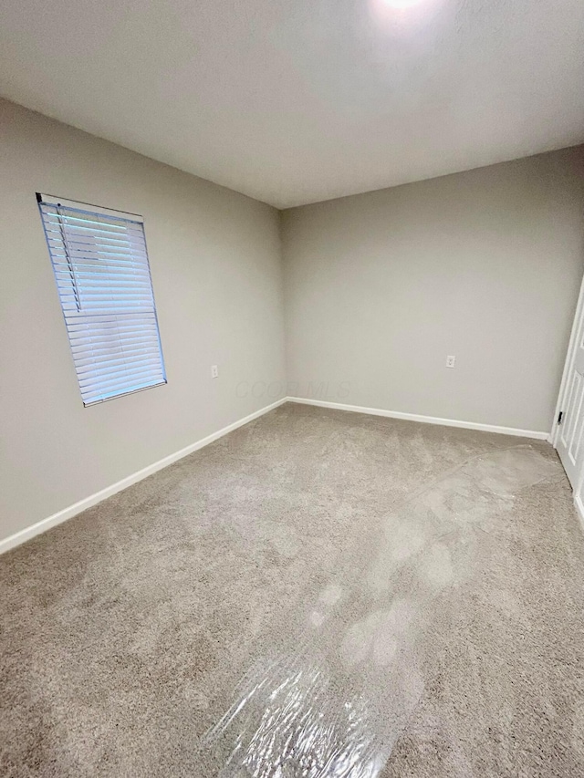 spare room featuring carpet flooring