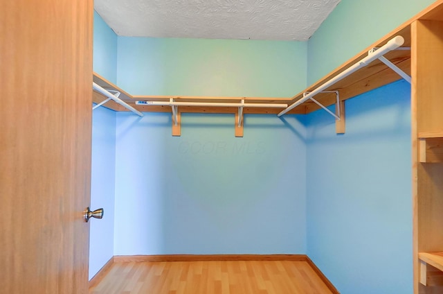 walk in closet with hardwood / wood-style flooring