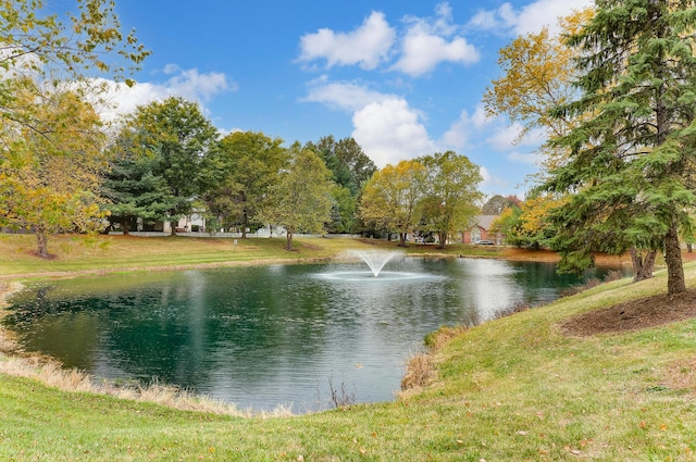 property view of water