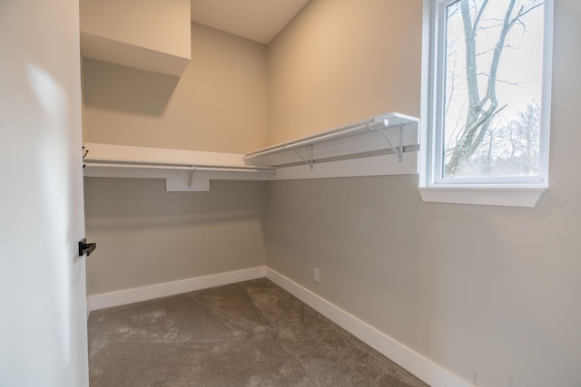 spacious closet with dark carpet