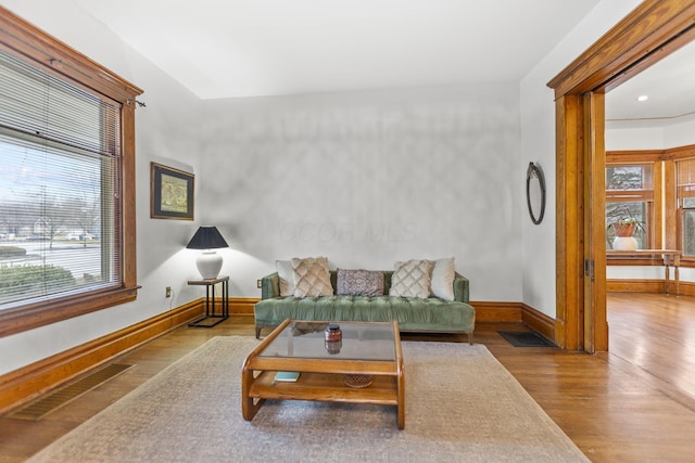 living room featuring hardwood / wood-style floors