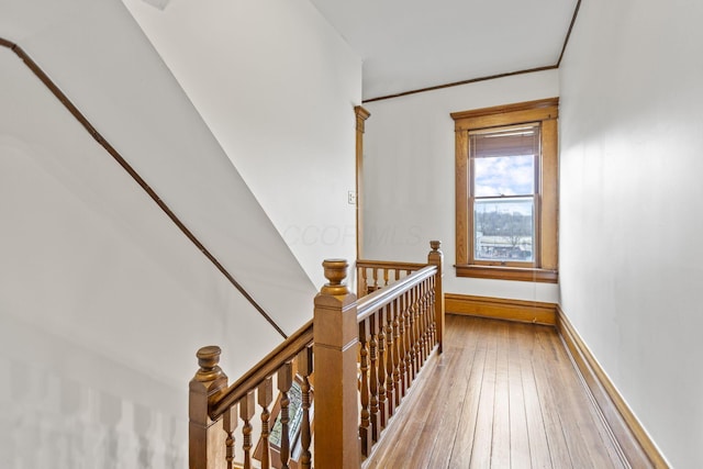 hallway featuring crown molding and wood-type flooring