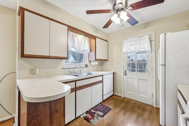 kitchen featuring sink, white cabinets, ceiling fan, white appliances, and light hardwood / wood-style flooring