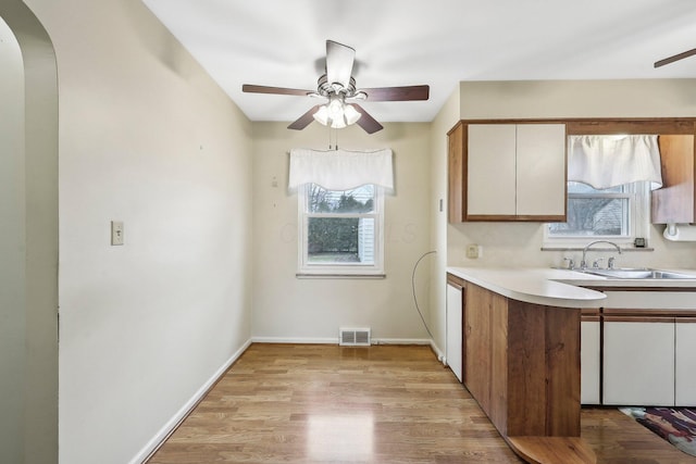 kitchen featuring ceiling fan, sink, and light wood-type flooring