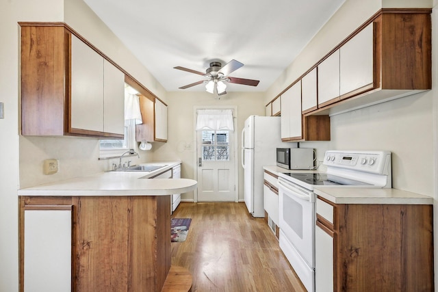 kitchen featuring sink, white appliances, ceiling fan, light hardwood / wood-style floors, and white cabinets