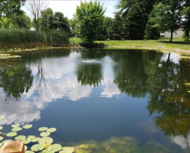 view of water feature