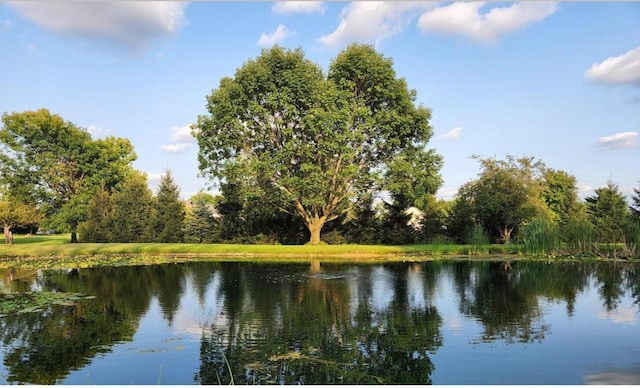 view of water feature