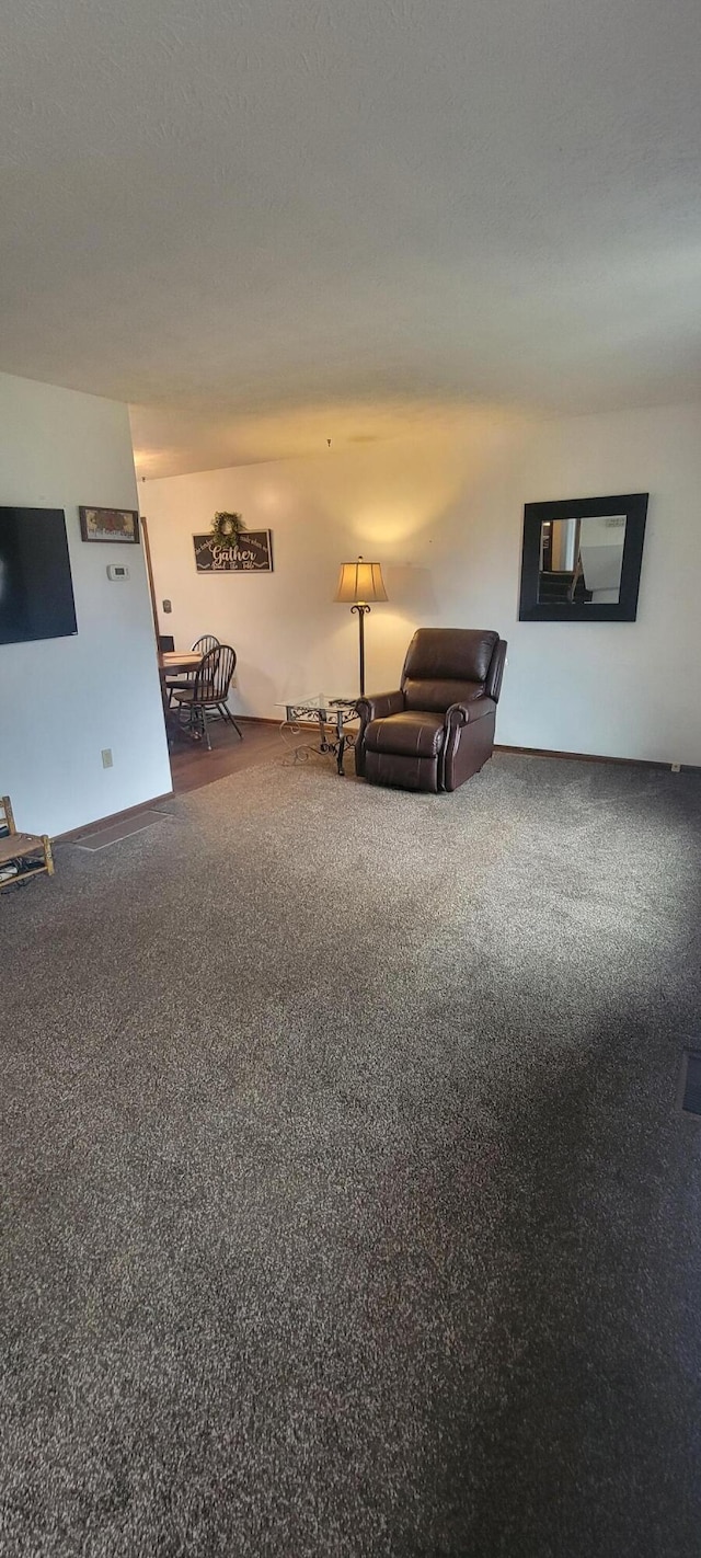 unfurnished room with a textured ceiling and carpet flooring