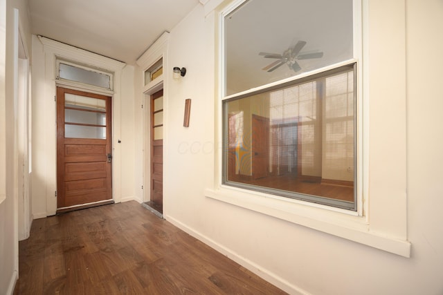 corridor featuring dark hardwood / wood-style flooring