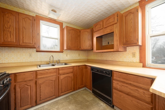 kitchen with dishwasher, sink, and gas range oven