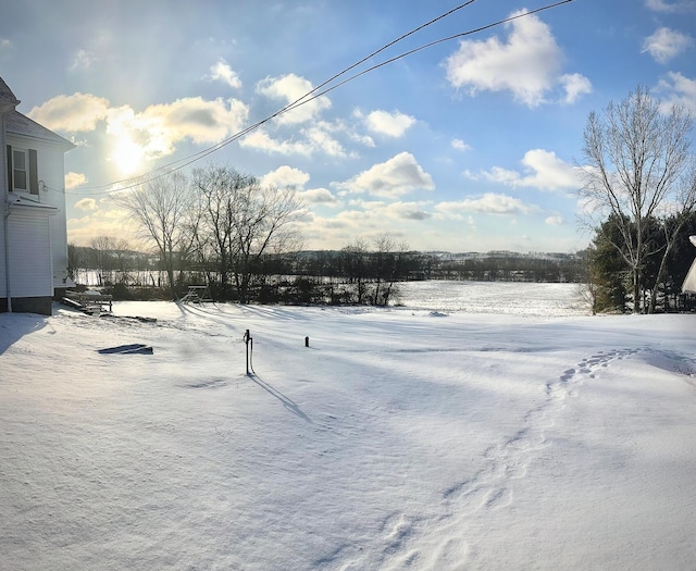 view of yard covered in snow