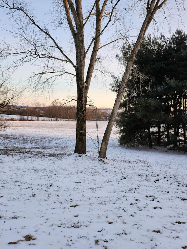 view of snowy yard