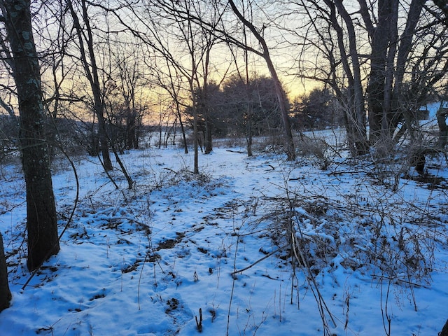 view of snowy yard