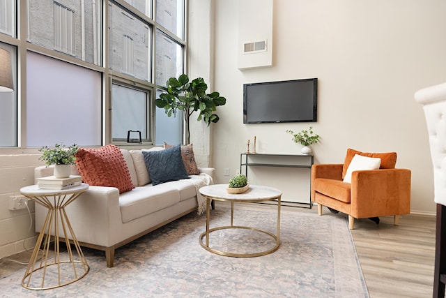 living room featuring a high ceiling and light hardwood / wood-style flooring