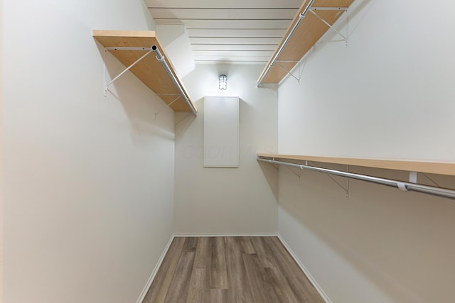 spacious closet with hardwood / wood-style floors