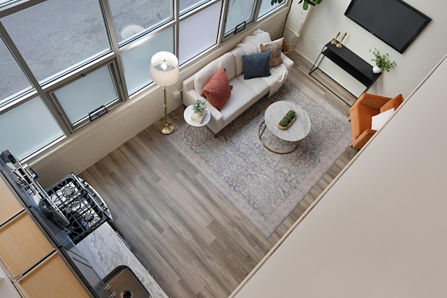 unfurnished living room with hardwood / wood-style floors