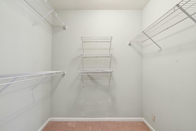 walk in closet featuring carpet flooring