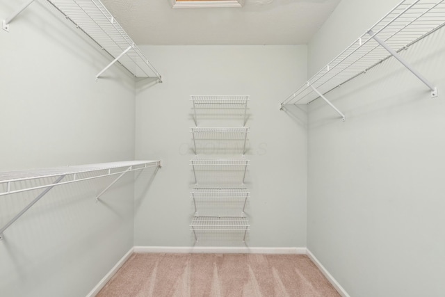 walk in closet with carpet